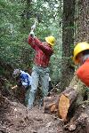 Trail Repair: Wonderland Trail: Cougar Rock