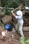 Trail Repair: Wonderland Trail: Cougar Rock