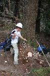 Trail Repair: Wonderland Trail: Cougar Rock