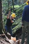 Trail Repair: Wonderland Trail: Cougar Rock