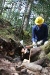 Trail Repair: Wonderland Trail: Cougar Rock