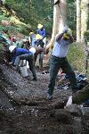 Trail Repair: Wonderland Trail: Cougar Rock