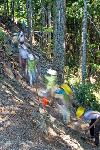 Trail Repair: Wonderland Trail: Carter FallsMember