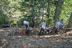 Trail Repair: Wonderland Trail: Carter Falls