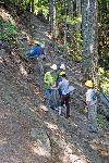 Trail Repair: Wonderland Trail: Carter Falls