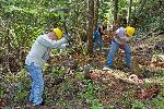 Trail Repair: Wonderland Trail: Cougar Rock