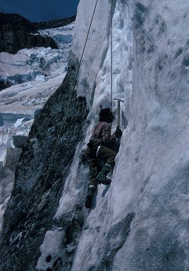 A climber is ascending a vertical glacial ice wall on Mount Rainier.