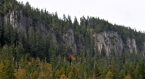 The rocky cliffs of Rampart Ridge rise above the trees at Longmire.
