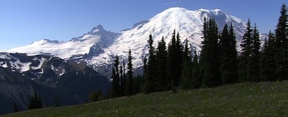A view of Mount Rainier from Sunrise, with subalpine meadow in the foreground.