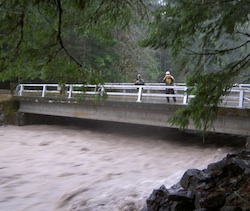 Tahoma Creek flowing under the Nisqually Road during the November 2006 flood. 