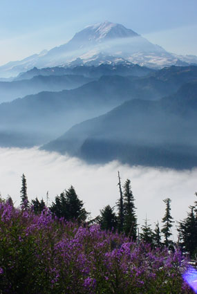 A haze of smoke lays in valleys with glacier covered Mount Rainier in the background and purple wildflowers in the foreground.