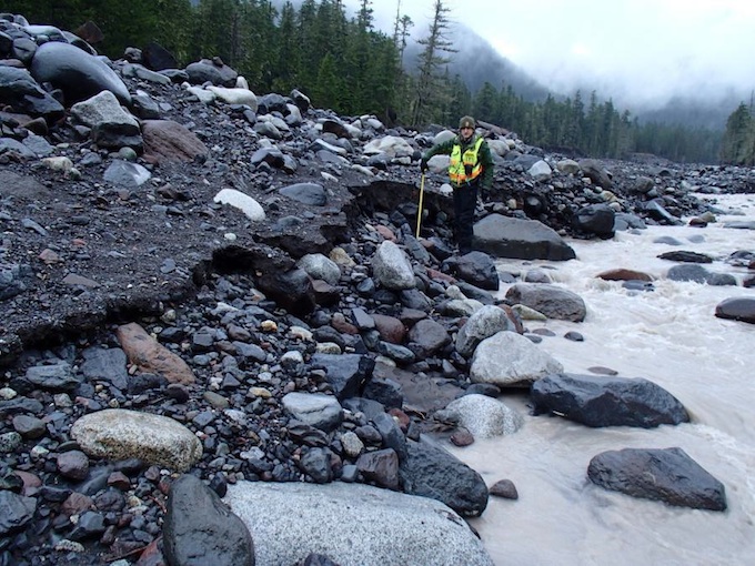 A park geologist stands at the edge of the Nisqually River holding a tape measure up to the top of a cut in the bank sediment eroded by the outburst flood. 