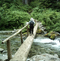A hiker crosses a log bridge over Cataract Creek.