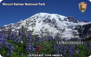 An image of the Mount Rainier Annual Pass, featuring a blooming wildflower meadow with Mount Rainier in the background and the NPS Arrow in the upper right corner. 