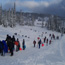 Families and visitors sled and play in the snow at Paradise.