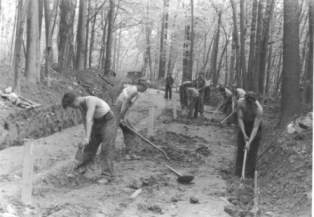 a historic black and white photo of Civilian Conservation Corps workers using hand tools to dig in a forest landscape
