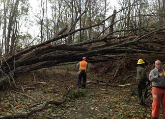 Sandy Clearing