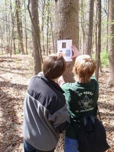two boys hold a piece of paper against a tree in a forest