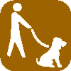 dog on leash