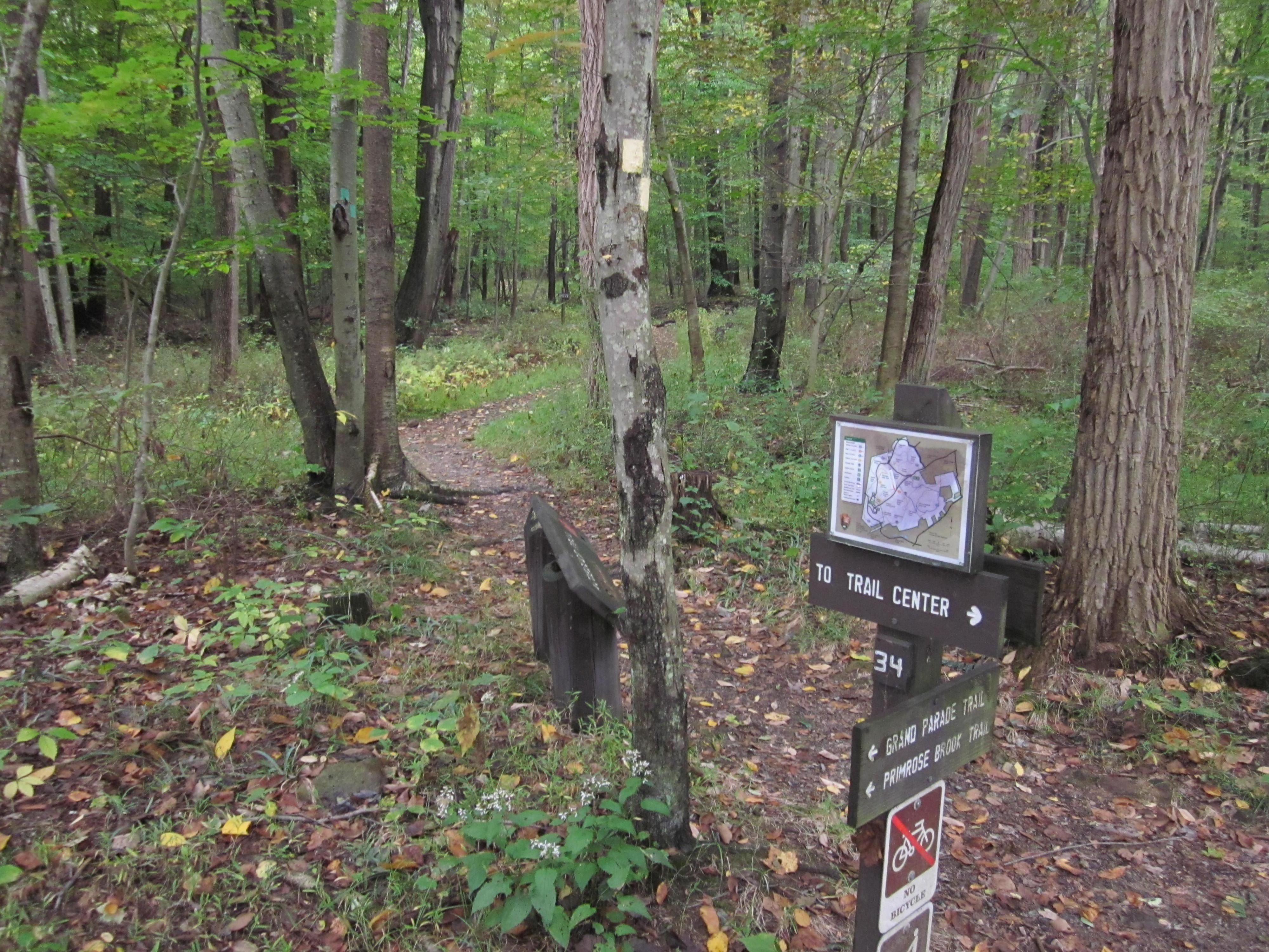 trails_0298