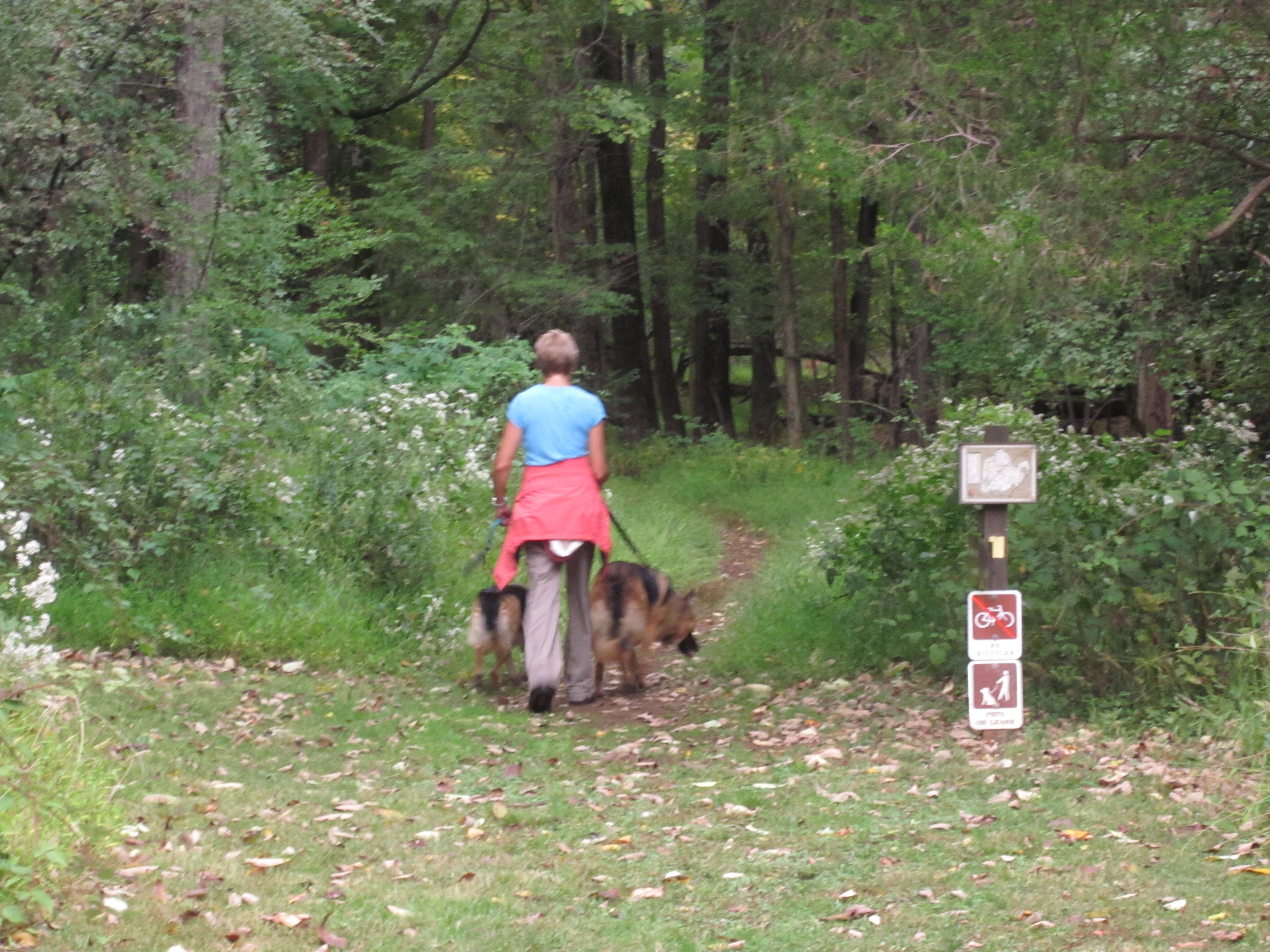 trails_0301