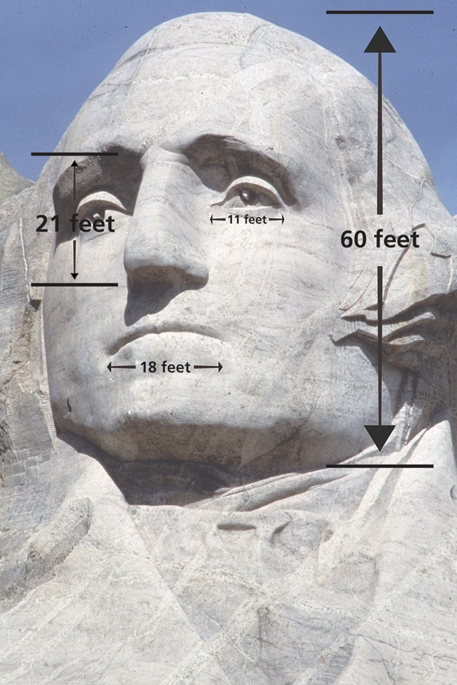 George Washington's sculpted head on Mount Rushmore with measurements of his facial features marked with arrows.  The face is 60 feet tall with 21 foot tall nose, 18 foot wide mouth and 11 foot wide eyes.