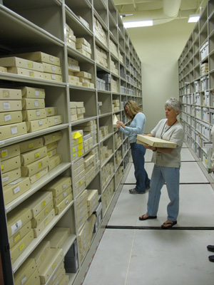This image shows someone surveying the collection