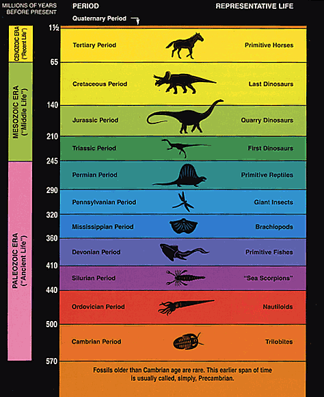 A colorful chart showing which lifeforms on Earth predominated during each geologic era