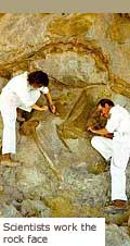 Scientists working the rock face. Click to enlarge.