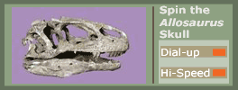 Spin the Allosaurus skull - click