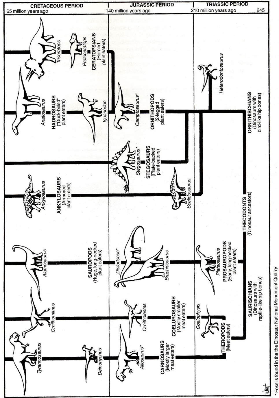 Full-Sized Dinosaur Family Tree