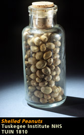 image of bottle with shelled peanuts