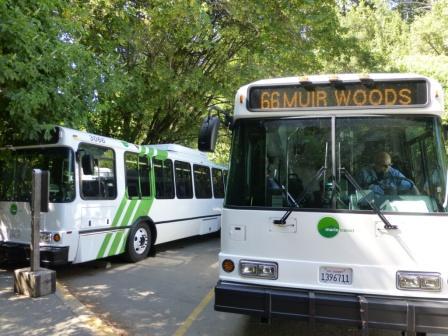 Two Muir Woods Shuttle pull up in the designated shuttle stalls to all visitors to disembark within steps to the entrance. Shuttle service is provided in the summer on Saturdays and Sundays and on Memorial Day, 4th of July, and Labor Day when visitation to the park is high and parking is difficult.