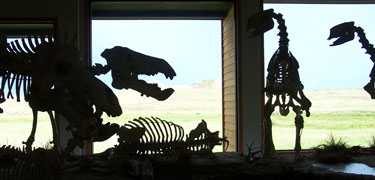 Diorama against bright windows