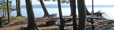 Stockton Campsite