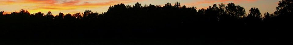Little Post Bayou at Sunset
