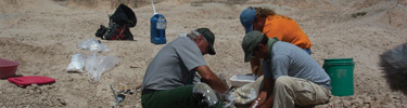 Paleontologists at work in the Badlands