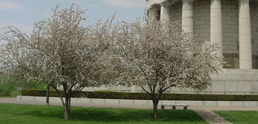 George Rogers Clark Memorial and Apple trees