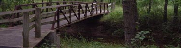 Bridge between the Boyhood statue and William's Pond