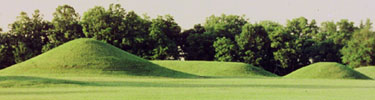 Central mounds at Mound City Group.