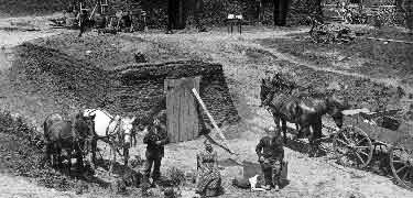Homesteaders