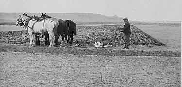 Plowing