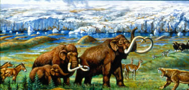 The Ice Age residents of Wisconsin share a glacial landscape.