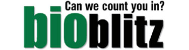 graphic with words BioBlitz, can we count you in?