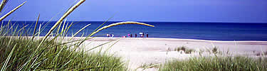 looking under a curved grass seed head at people on the beach