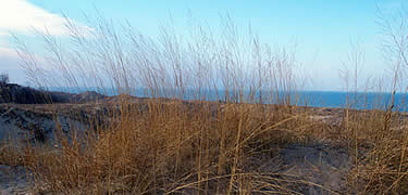 golden brown dune grass with lake in background
