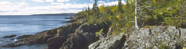 Rocky shoreline on Isle Royales south shore bathed in sunlight.