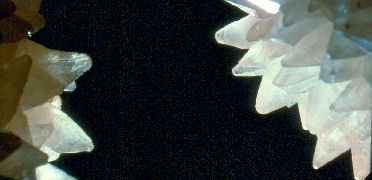Calcite spar crystals (Art Palmer photo)