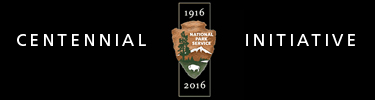 Centennial Initiative 2016