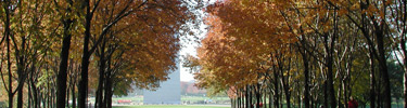 Grounds of the Gateway Arch in fall